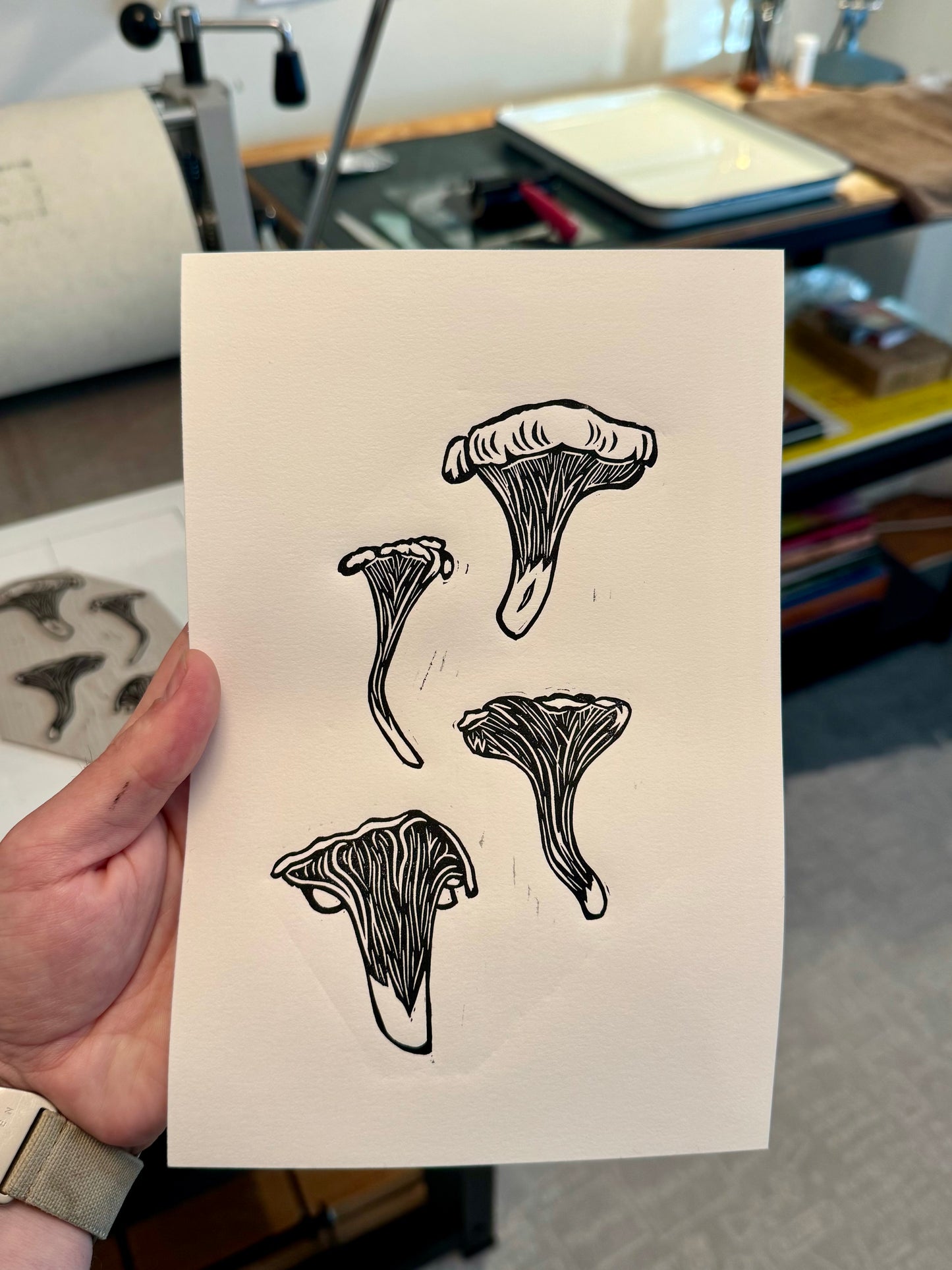 Chanterelle