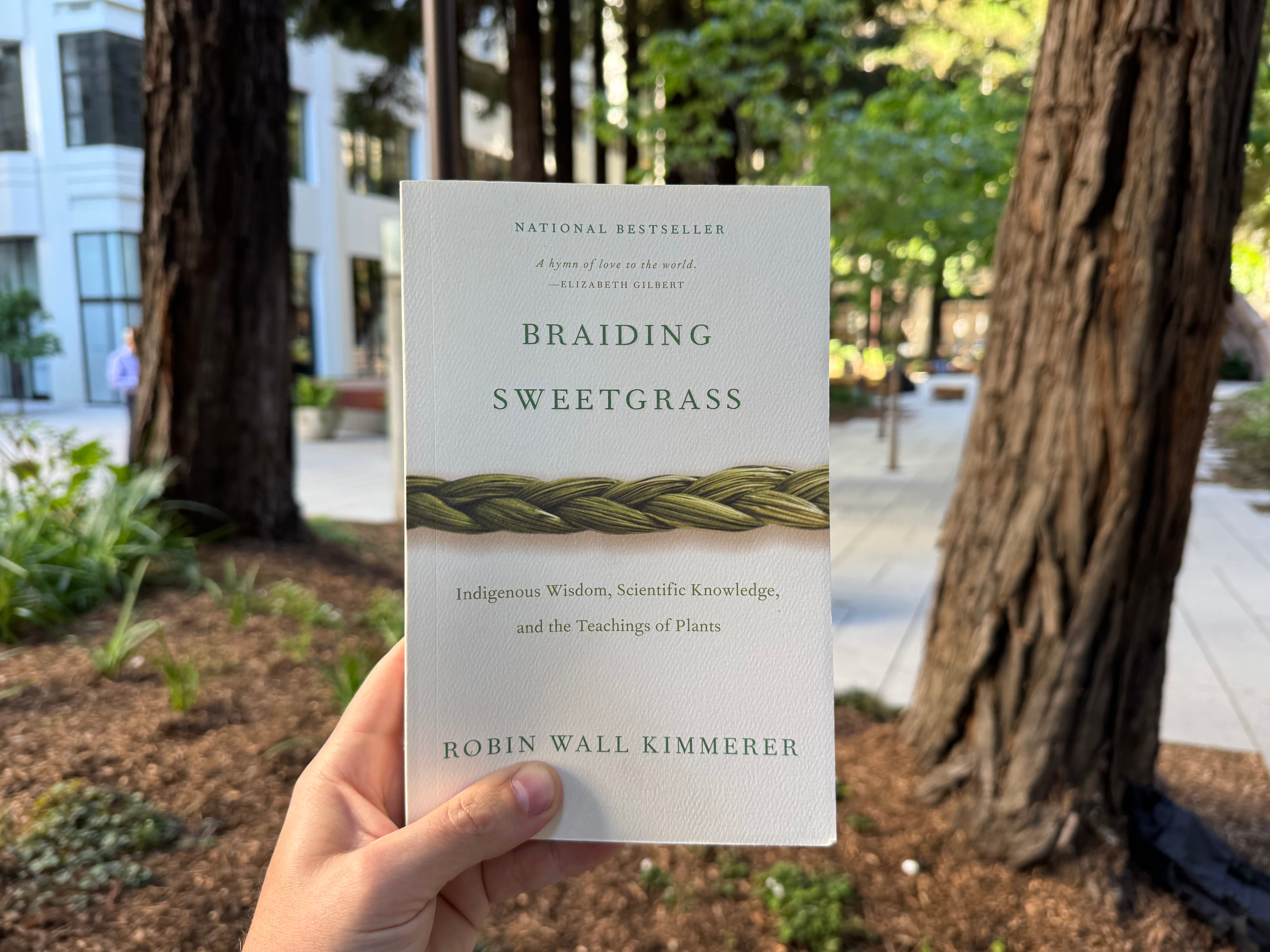 On the shelf: Braiding Sweetgrass