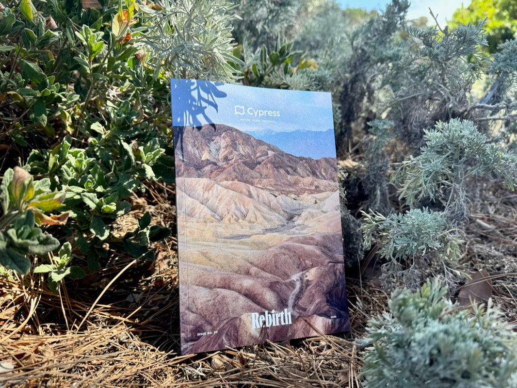 Issue No. 02 Has Arrived