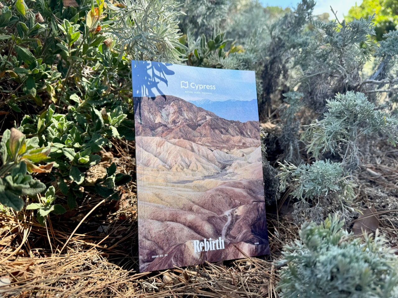 Issue No. 02 Has Arrived