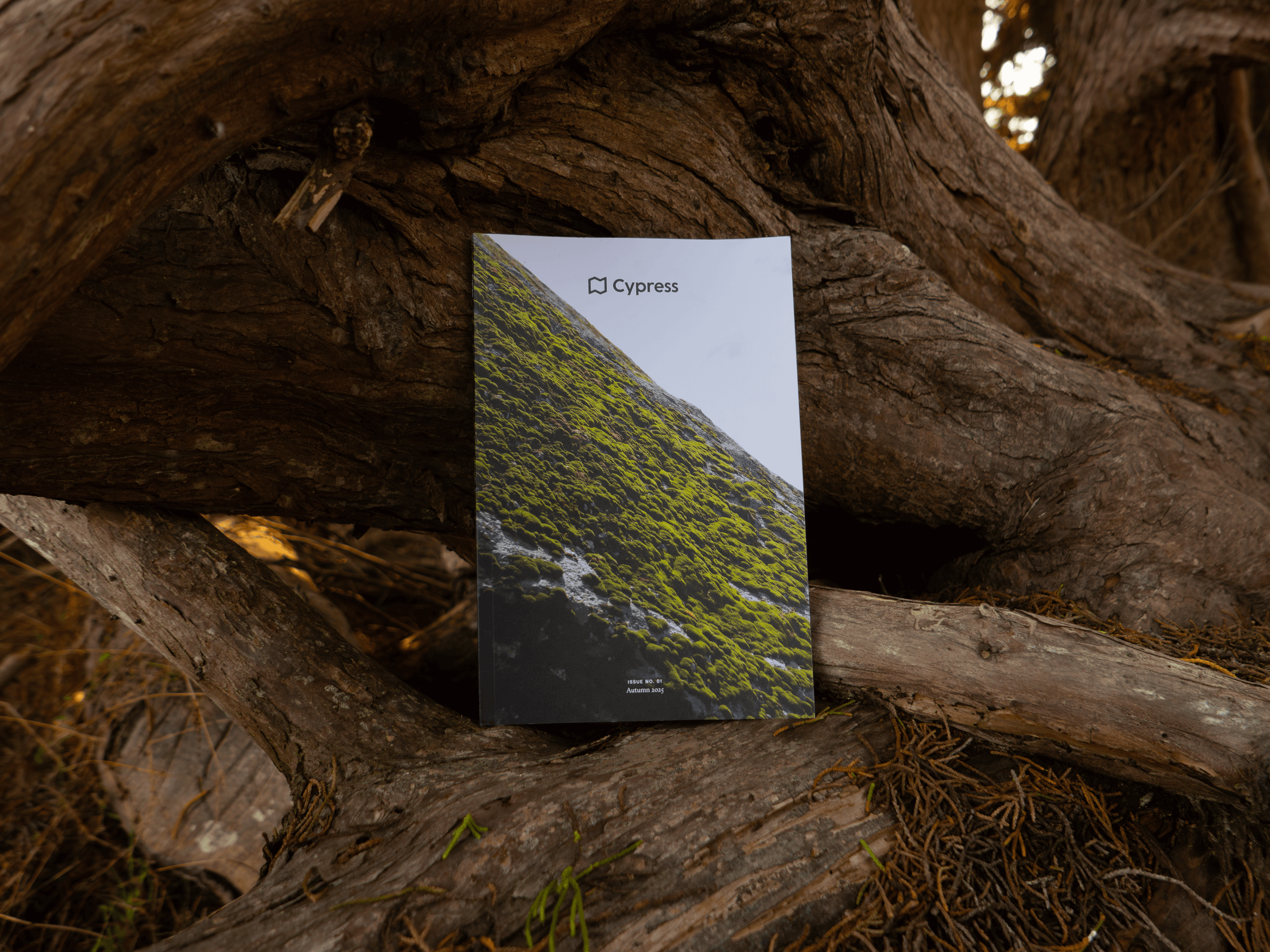 Cypress Magazine Is Officially Here