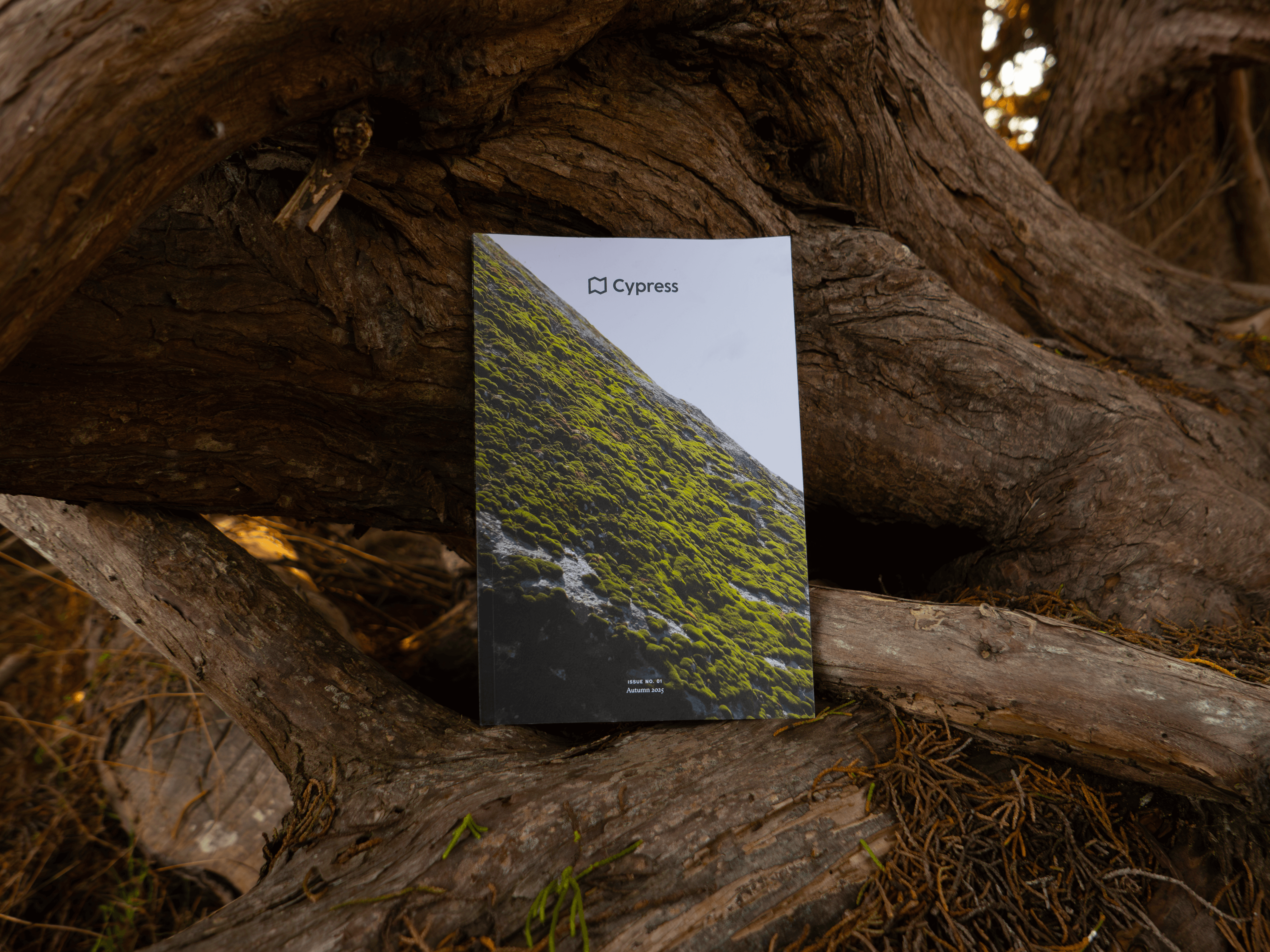 Cypress Magazine Is Officially Here