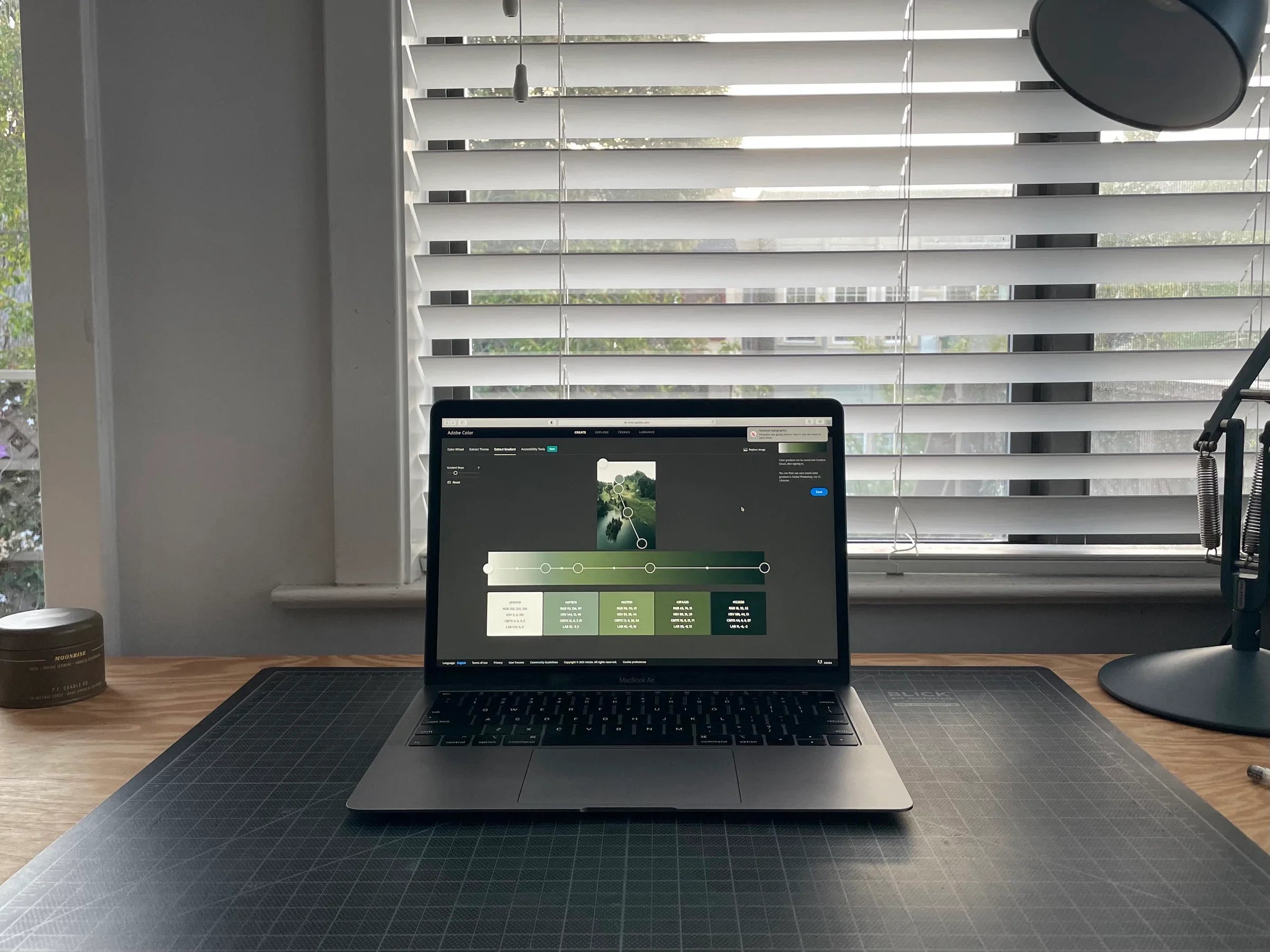 Issue 003 — Building the Cypress brand: Color