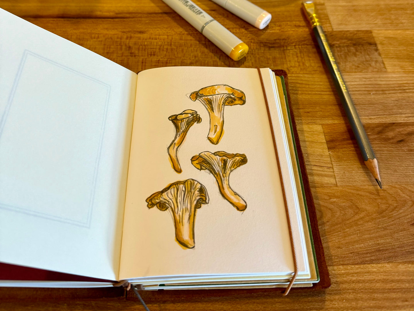 Chanterelle